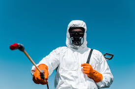 Best Residential Pest Control  in Doffing, TX